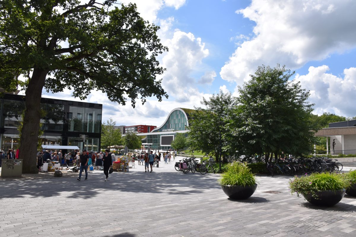 Vlindermarkt Emmen 2021, Markten